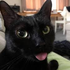 Avatar for ferbssz