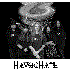 Avatar for Havochate