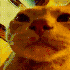 Cowdragom için avatar
