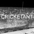 Awatar dla cricketant