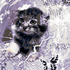 catjammmer 的头像