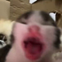Avatar for not-nam3