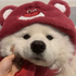 Avatar for xiang0_0
