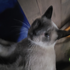 Avatar for Gabrielhaha