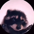 Avatar for Choiboi_
