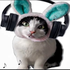 Avatar di Arkanin_