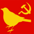Avatar for PioPiowski