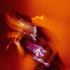 Avatar for Future_overhang