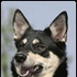 Avatar for DmnFudg