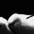 Avatar für Aenima_BG