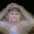 Avatar für taucho