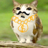 Avatar for Javichuu_