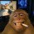 Avatar for garf777