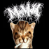 Avatar de saraivxz