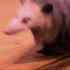 Avatar for ryn_exists