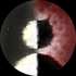 Avatar de Its_Nigell