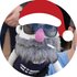 Avatar de El Rancius