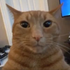 Avatar for vsc2023