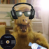Avatar for DJ-ALF_el14
