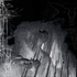 Avatar for Ic3d1169