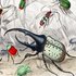 Avatar for Encephalartos