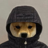 Avatar for idk283892
