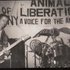 Civil Dissident 的头像