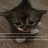 dagisnotonfire 的头像