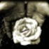 Avatar for aolhater73