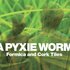 A Pyxie Worm 的头像