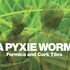 Avatar för A Pyxie Worm