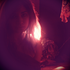 Avatar for Maddeningswan