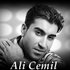 Awatar dla Ali Cemil