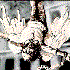 Avatar for luzbelito