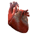 Avatar for agneszka_