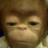 Avatar for tommcalderr