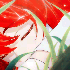 Avatar for PastaSoosi