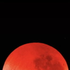 Avatar für bolbs