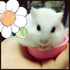 Avatar di Coffee_bunny