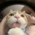 Avatar for vyxnqn
