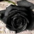 Avatar for Blasphemer6