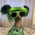 Avatar for t333shin
