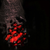 Avatar for callmenekro