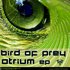 Avatar for Bird Of Prey feat. Tim Conrardy