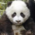 Avatar for VinnyPuh