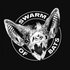 Swarm Of Bats 的头像