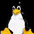 Avatar di elainoelloc