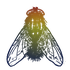 Avatar for Yongtre100