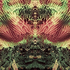 Avatar for Asio_flammeus