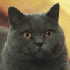 Avatar for otern123